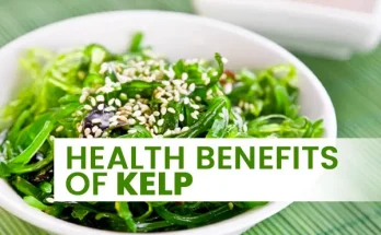 Diet Dr. Kelp